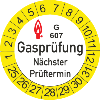 G 607 Gasprüfung