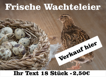 wachteleier