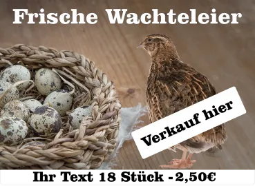 wachteleier