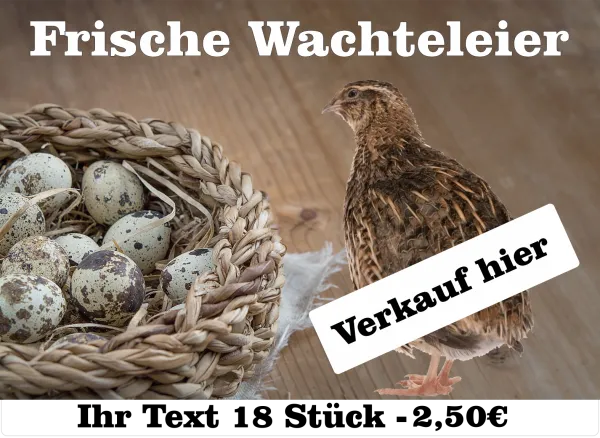 wachteleier